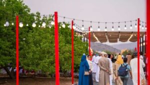 Al Jabal Al Akhdar Welcomes Nearly 90,000 Visitors in First Half of 2025