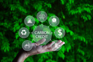 Carbon Credit