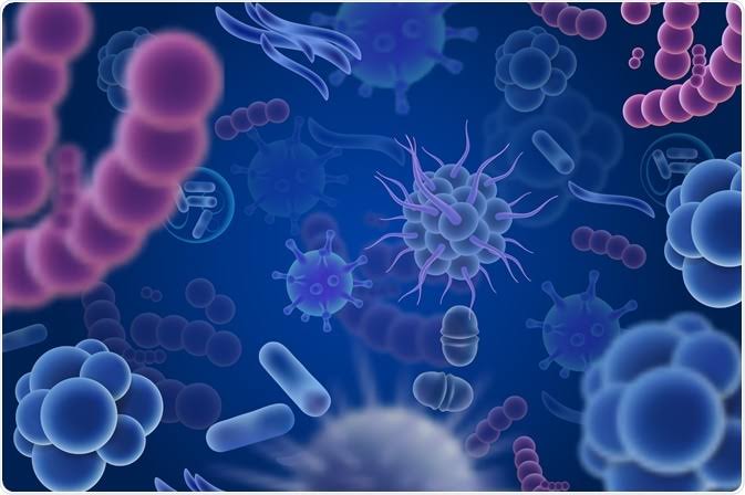 Gut Microbes