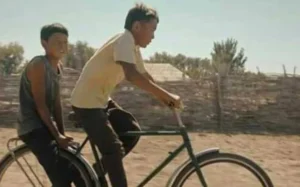 Ischia Film Festival