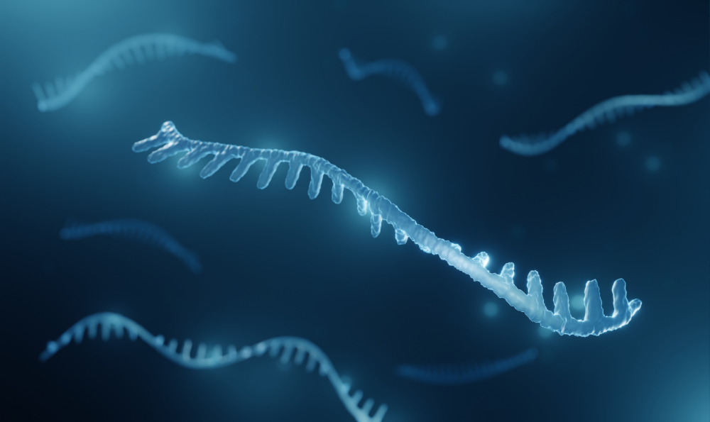 mRNA