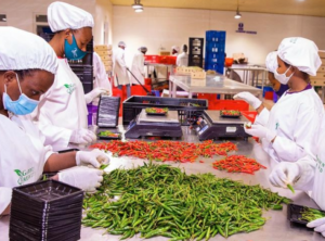 Rwanda Targets $1.5 Billion in Agricultural Export Revenues by 2029, Says Minister Bagabe