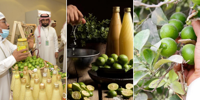 Reef Saudi Supports Lomi Hasawi Exhibition Showcasing Al-Ahsa’s Lime Cultivation