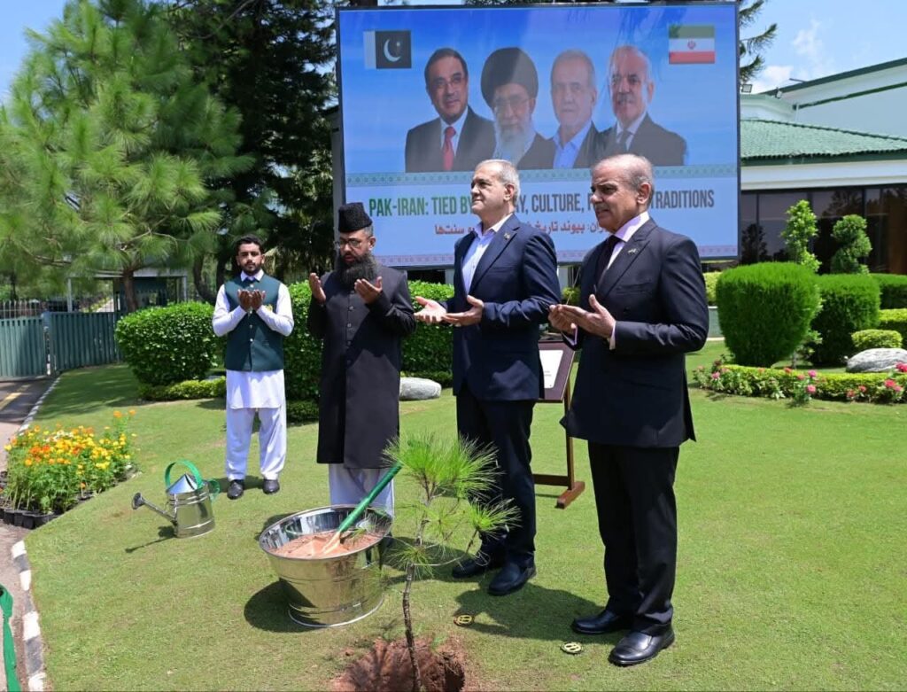 Plant Sapling