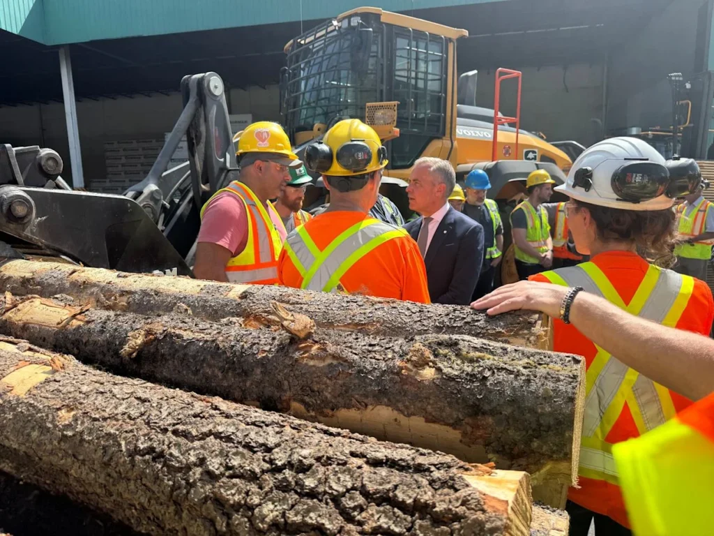 Softwood Lumber