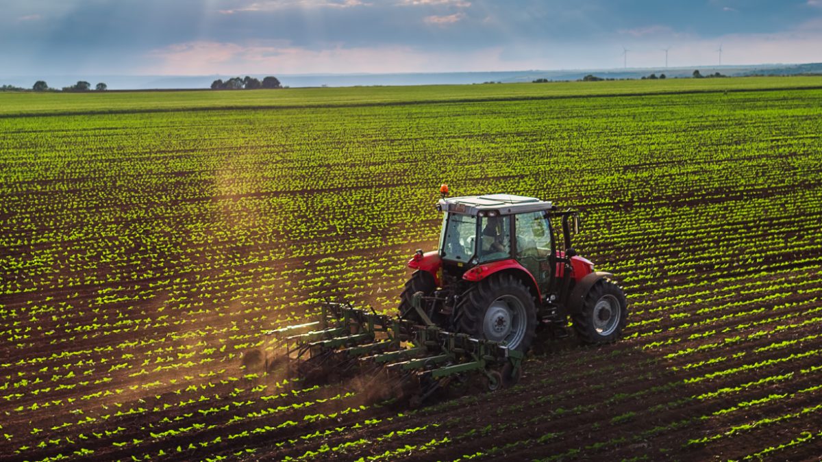 SCO Agri-Tech Partnerships