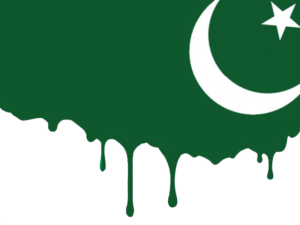 Monarchy or Anarchy: Can Pakistan’s Past Inspire a Bold New Future?