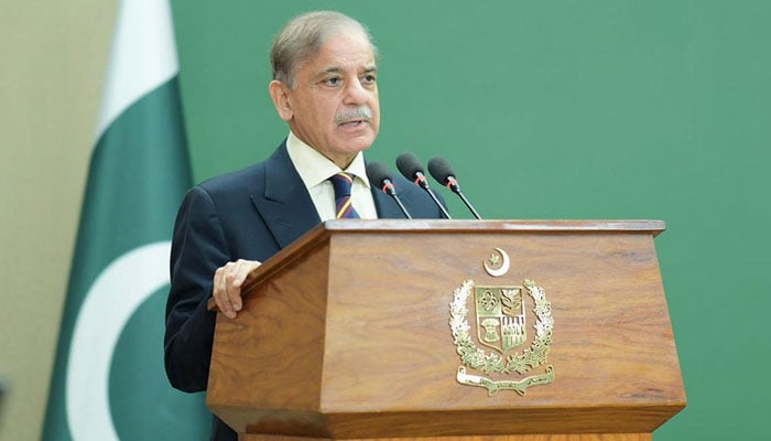Prime Minister Shehbaz Sharif Lauds Privatisation of First Women Bank as Milestone in Pakistan-UAE Economic Partnership