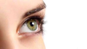 Sri Lanka Eye Donation Society Marks 65 Years of Service, Donates Over 100,000 Corneas Worldwide