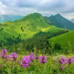 Sheki Khan Plateau of Azerbaijan