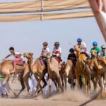 Oman Announces Schedule for His Majesty the Sultan’s Camel Racing Festival 2026