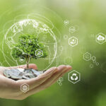 Carbon Markets: A Climate Solution or a Power Imbalance?