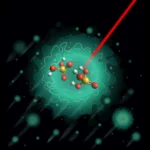 Nature’s Proton Highway: Unraveling Charge Transport Mechanisms in Phosphate-Based Systems