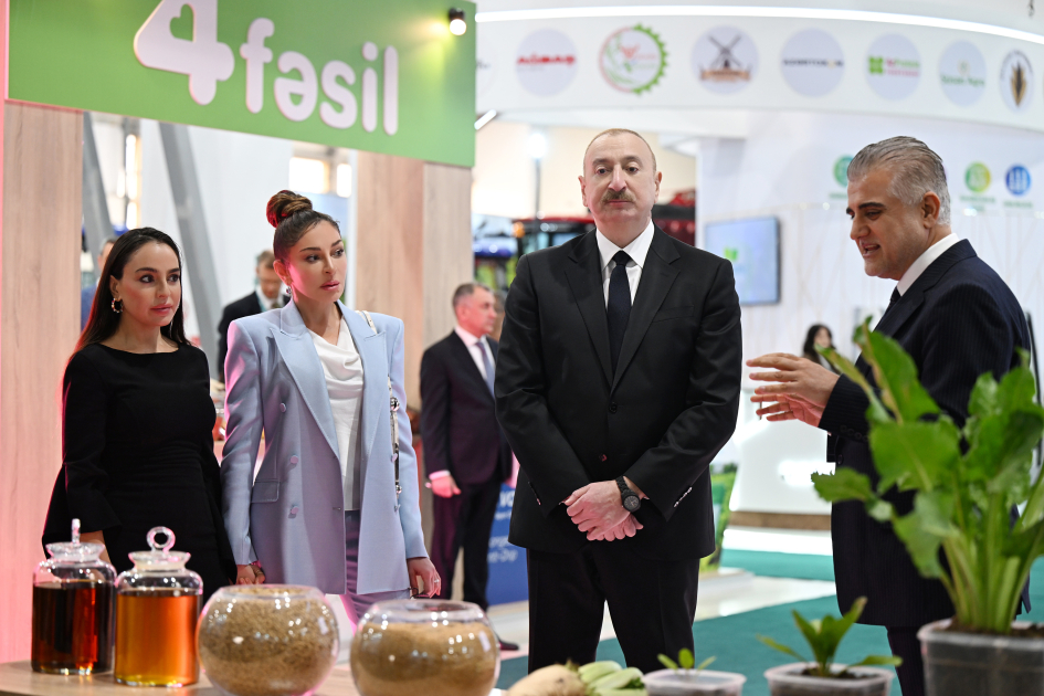 President Ilham Aliyev