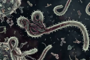 Ebola