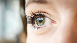 National Eye Bank