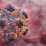 Andes Hantavirus