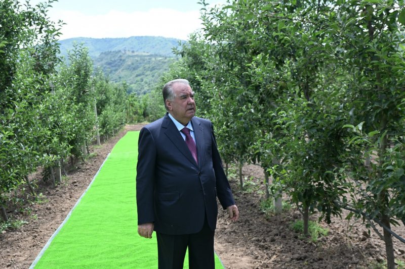 President Emomali Rahmon