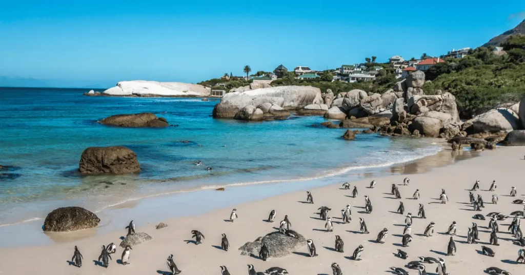 South Africa Records Double-Digit Growth in International Tourism During First Half of 2026