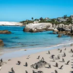 South Africa Records Double-Digit Growth in International Tourism During First Half of 2026