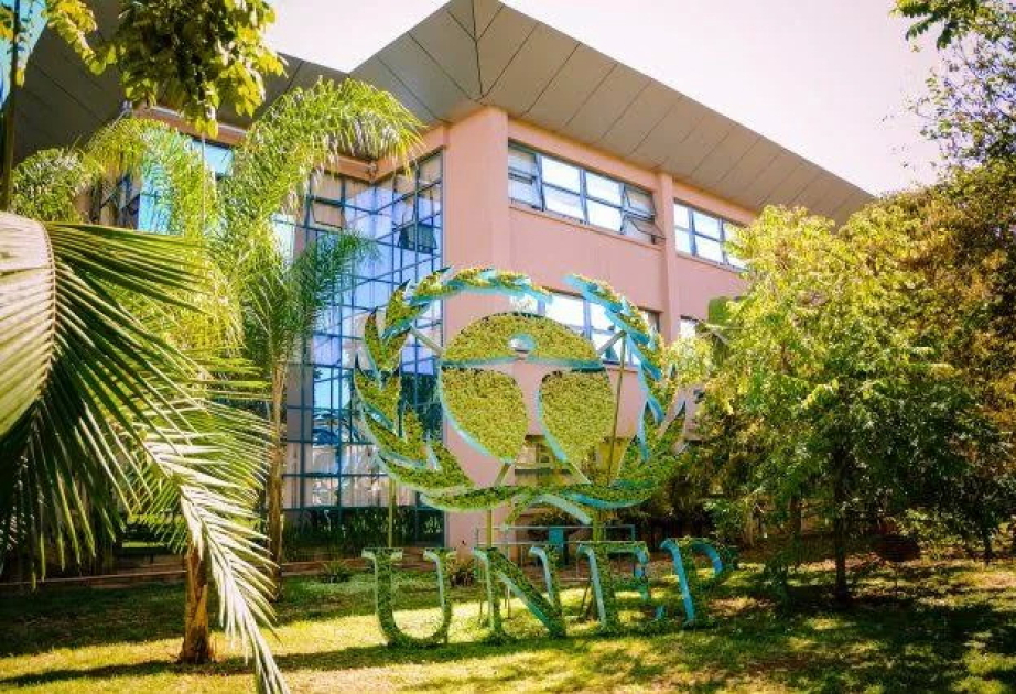 Environment Programme