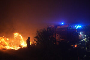 Wildfires