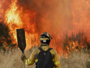 Wildfires