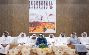 Hamdan bin Zayed