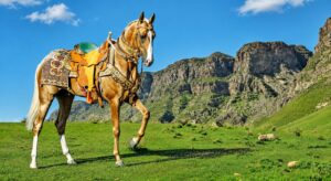 World Beauty Championship of Akhal-Teke Horses to Showcase Turkmen Equestrian Heritage in Netherlands