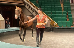 Akhal-Teke