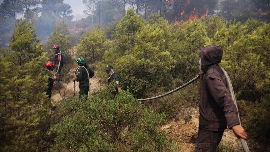 Wildfires