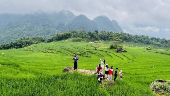 Vietnam