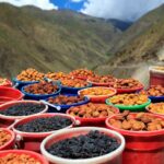 Tajikistan’s Dried Fruits