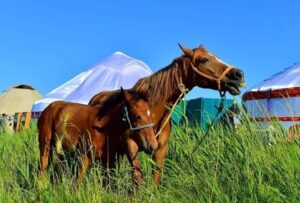 Kazakhstan