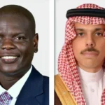 Saudi, South African Foreign Ministers Discuss Bilateral Ties, Regional Developments